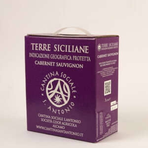 cabernet sauvignon bag in box